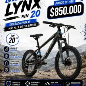 GW Lynx Rin 20
