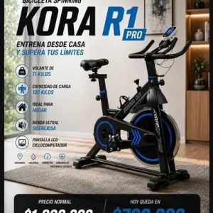 Kora R1 Pro