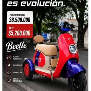 Beetle