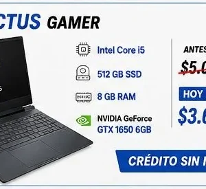 HP Victus Gamer